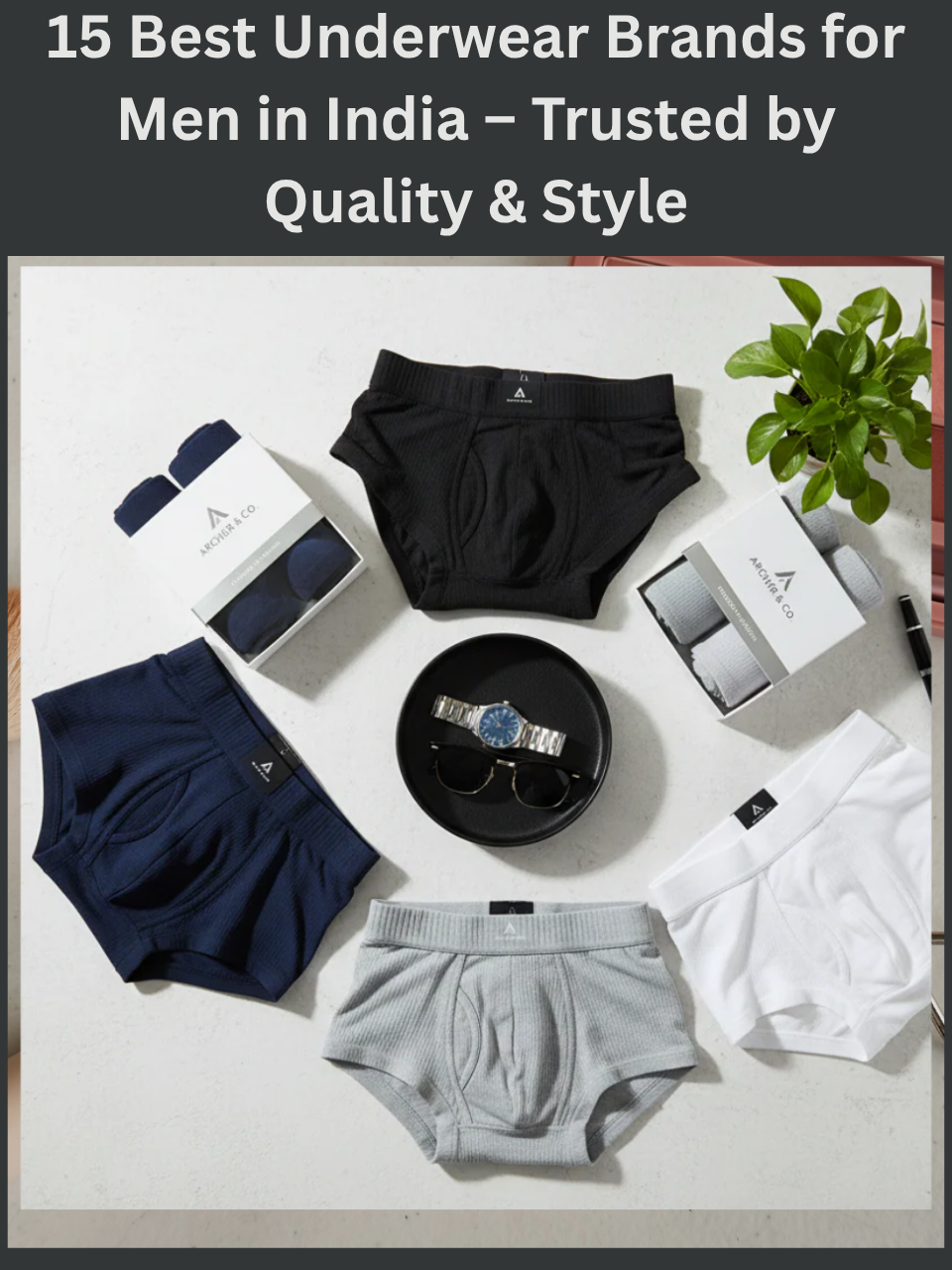 15 Best Underwear Brands for Men in India – Trusted by Quality & Style