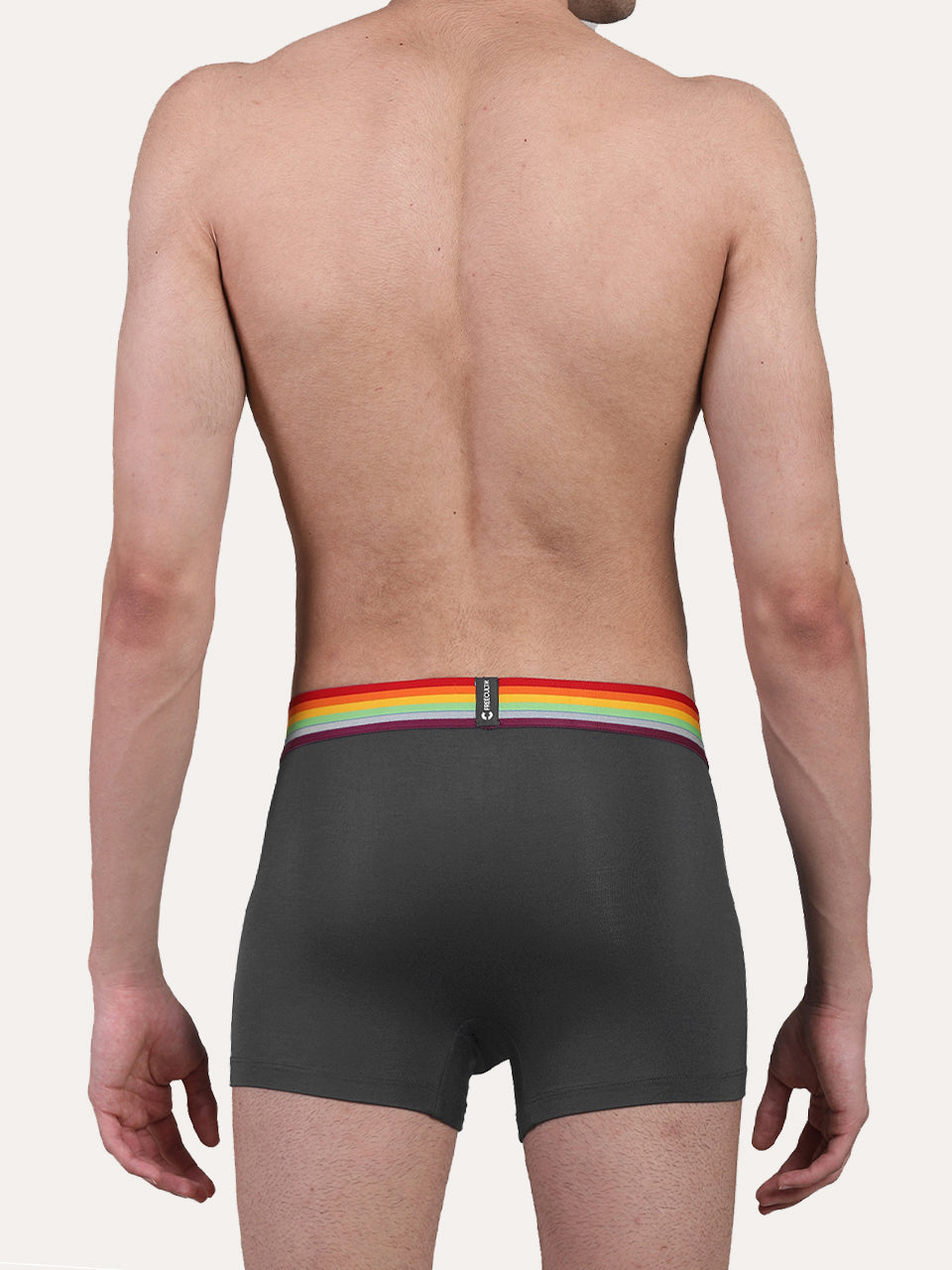 Pride Edition - Men's Anti-Bacterial Micro Modal Trunk (Pack of 1)