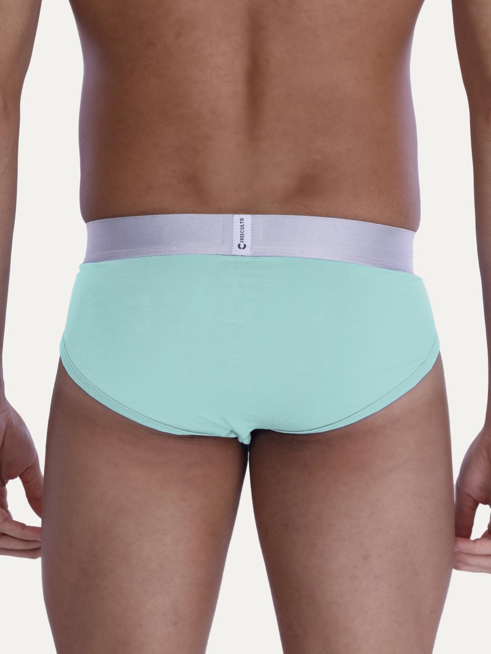 Men's Anti-Bacterial Micro Modal Briefs with Silverfox Waistband (Pack of 1)