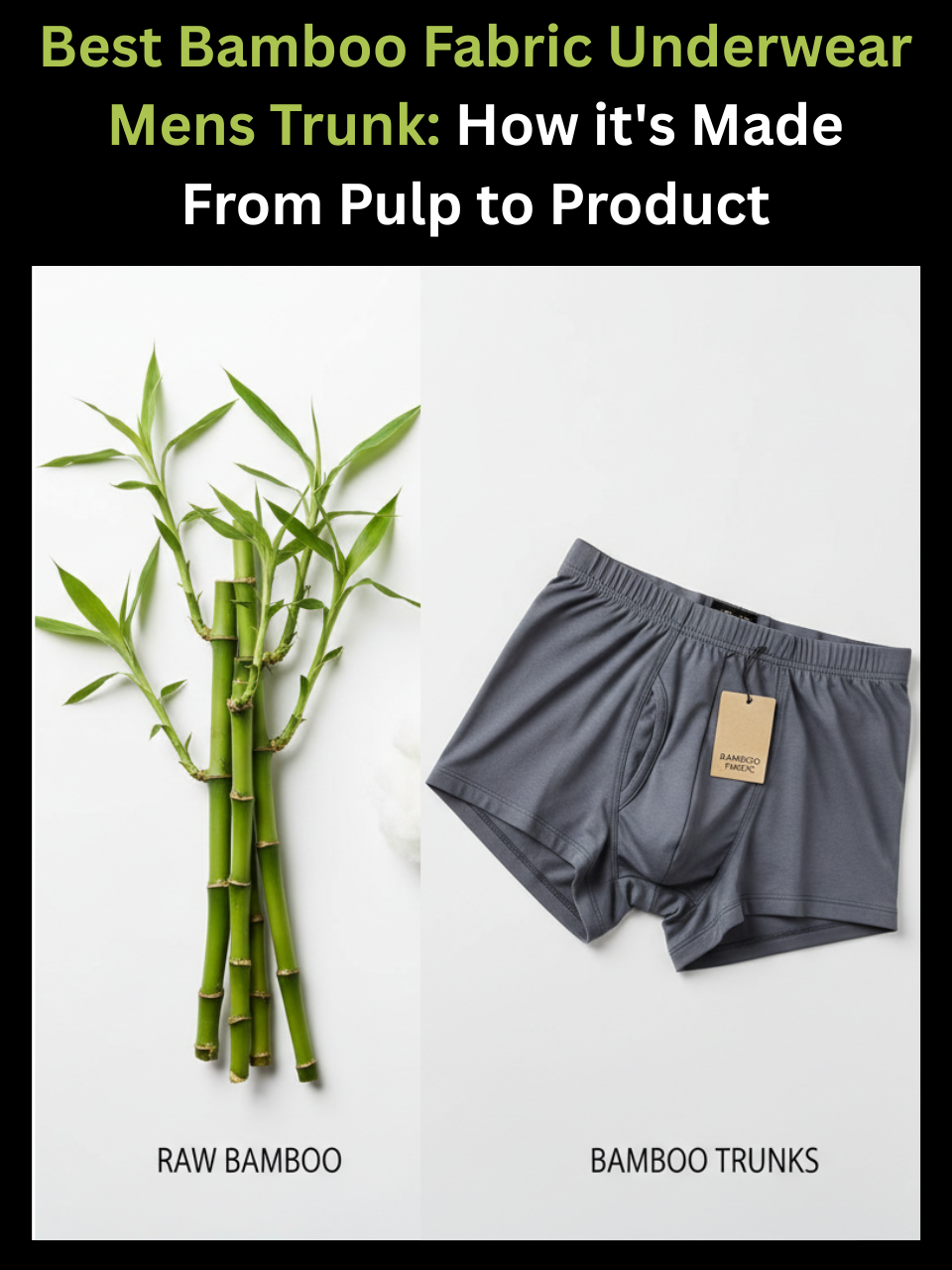 Raw bamboo pulp shown alongside finished bamboo fabric trunk illustrating the manufacturing process