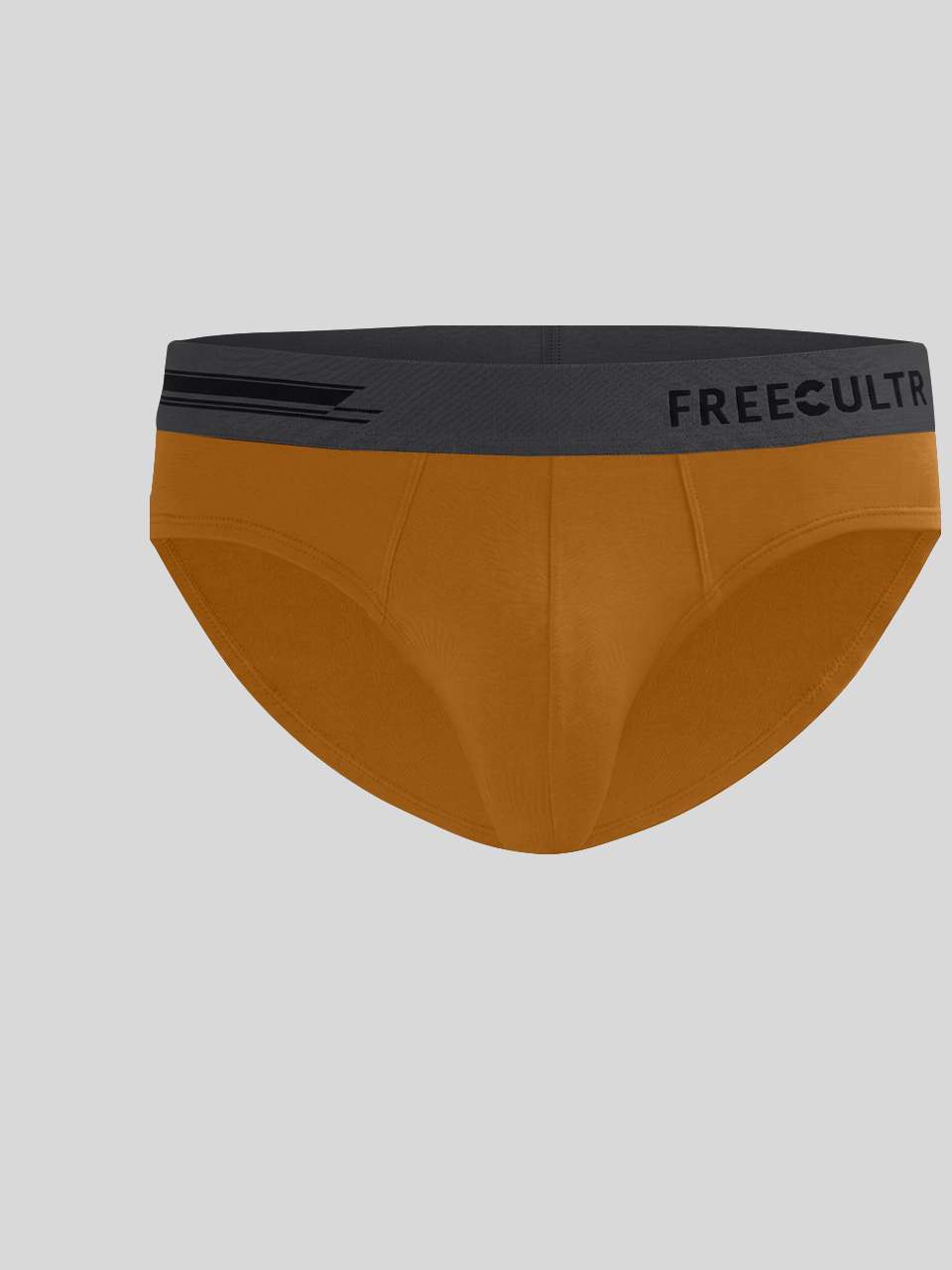 Men's Anti-Bacterial Micro Modal Brief in Contrast Waistband (Pack of 1)