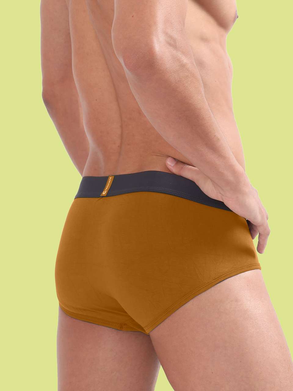 Men's Anti-Bacterial Micro Modal Brief in Contrast Waistband (Pack of 1)