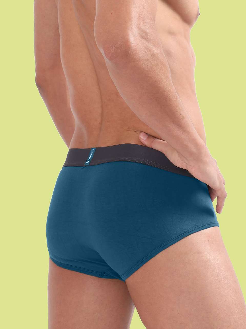 Men's Anti-Bacterial Micro Modal Brief in Contrast Waistband (Pack of 1)
