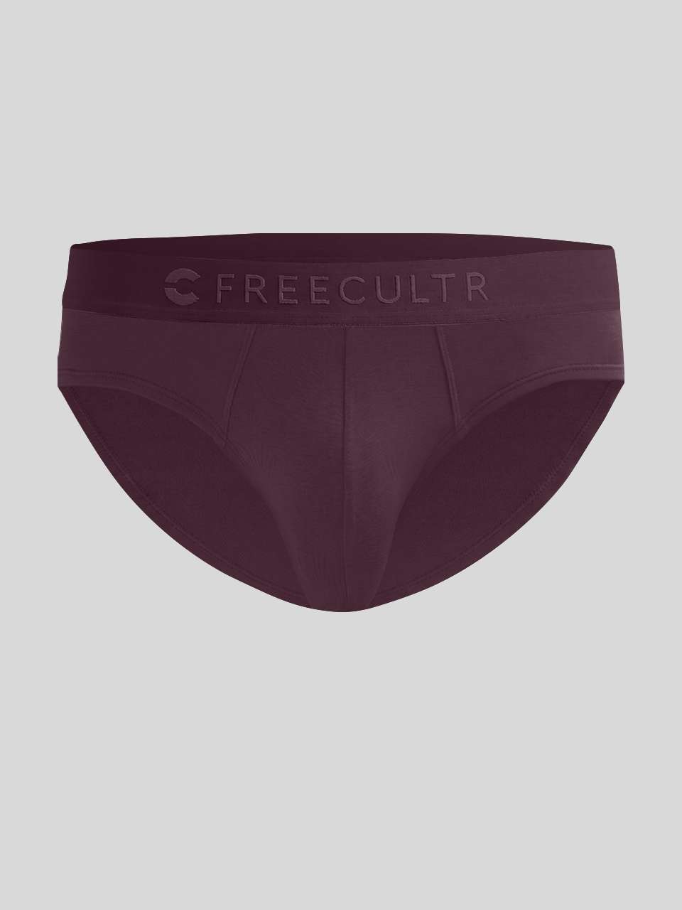 Men's Anti-Bacterial Micro Modal Brief in Solid Waistband (Pack of 2)