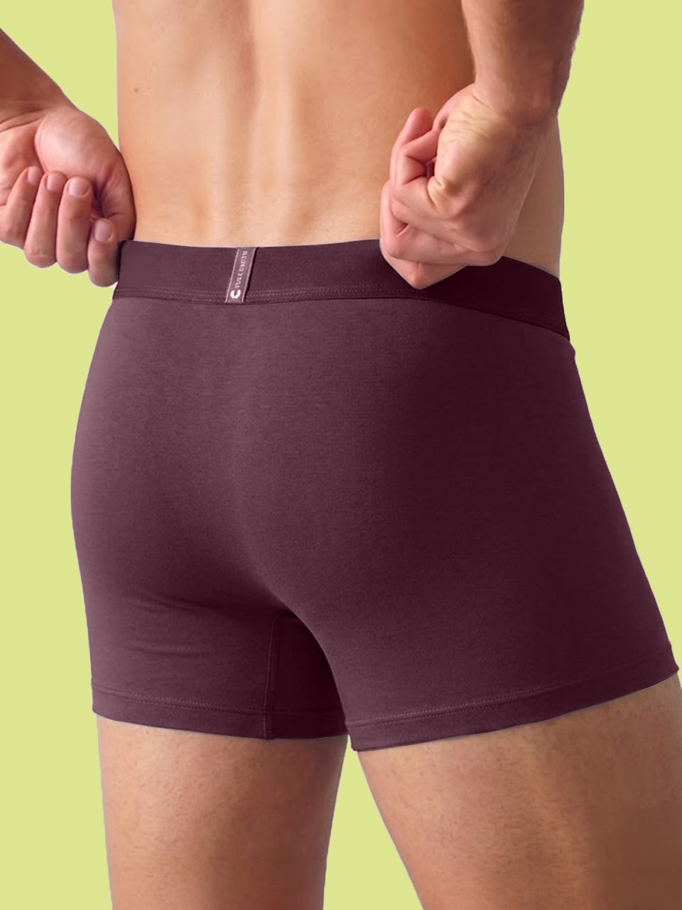 Men's Anti-Bacterial Micro Modal Trunk in Solid Waistband (Pack of 1)