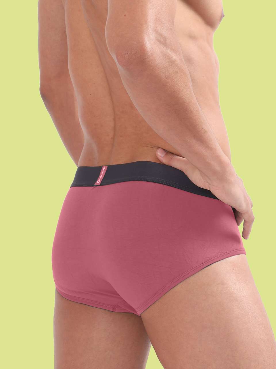 Men's Anti-Bacterial Micro Modal Brief in Contrast Waistband (Pack of 1)