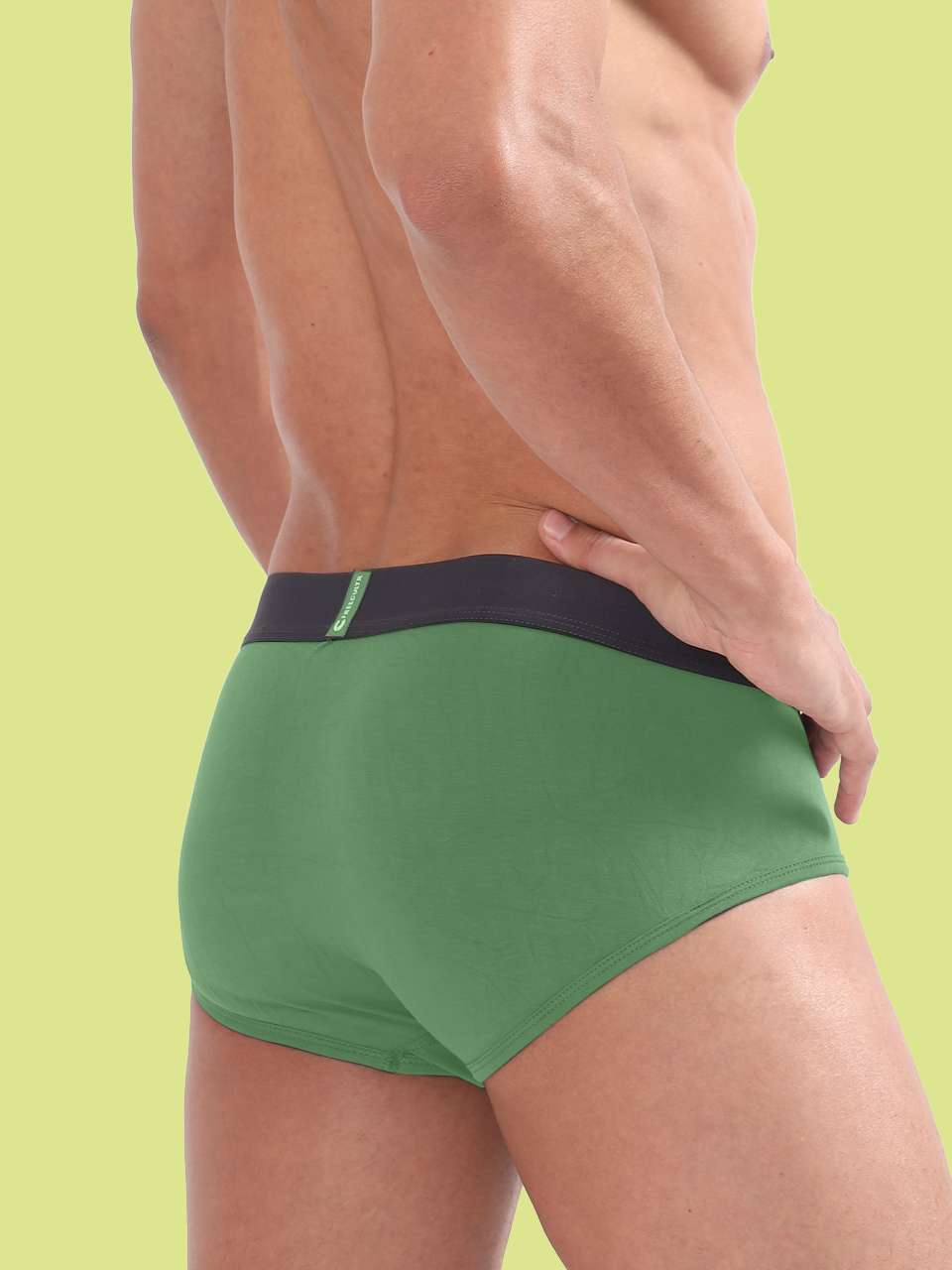 Men's Anti-Bacterial Micro Modal Brief in Contrast Waistband (Pack of 1)